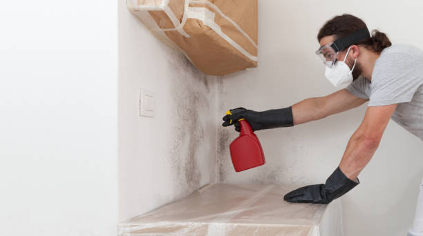 Professional Bathroom Mold Removal technician working in Roebling, NJ