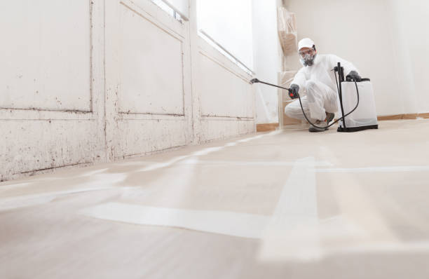 24/7 Emergency Bathroom Mold Removal experts in Roebling, NJ