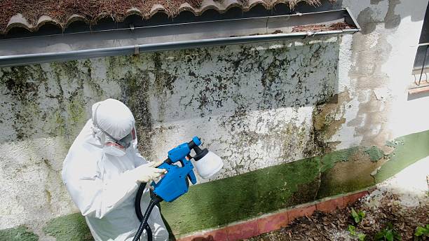 Trusted Bathroom Mold Removal service in Roebling, NJ - Cheap Mold Removal